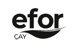 Efor Çay